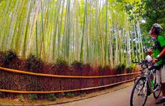 Circuit Essentiel Japon (5 destinations)