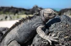 Galápagos — North & Central Islands aboard the Eden Tour