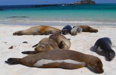 Circuit Galápagos - Îles de l'Est, du Centre et de l'Ouest à bord de l'Eden