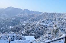 Circuit Circuit Shimla Dharamshala