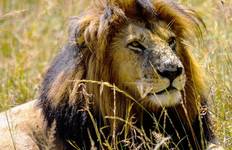 Kenya and Tanzania Safari Tour