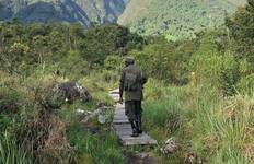 Circuit Trek dans les gorilles et de canoë sur le lac Bunyonyi - 5 jours
