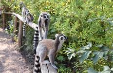 Madagascar Adventure Tour