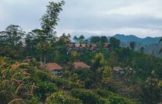 Circuit Splendeur du Sri Lanka - - Circuit de 8 jours et 7 nuits au Sri Lanka