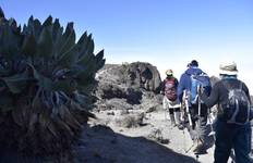 Circuit 6 jours Route de Machame | Ascension du Kilimandjaro