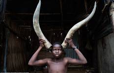 Ghana, Togo, Benin: Kultur und Tradition Reise