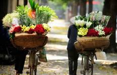 Circuit Découverte du Vietnam - Cambodge en 15 jours