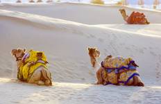 Circuit Circuit d'aventure au Rajasthan