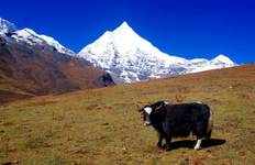 Circuit Trek sur le sentier Druk avec circuit culturel - 10 jours