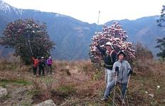 Circuit Trekking idéal dans la vallée du Langtang