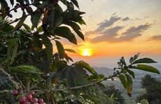 Circuit La vie en Colombie en 12 jours : Nature Sentiers sauvages