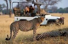 Circuit Escapade à Hwange et aux chutes Victoria - 4 jours