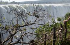 Circuit Victoria Falls Hwange et Chobe