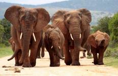 Circuit Cape Town Kruger et Garden Route, autotour