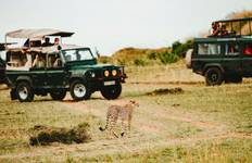 Affordable 3-Day Budget Luxury Masai Mara Safari in Kenya - With Free Night at Nairobi Hotel Tour