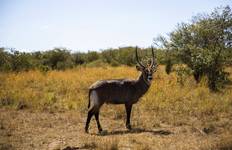 12 Days Best of Kenya and Tanzania Tour