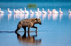 Through the Rift Valley, Sopa Lodges Tour