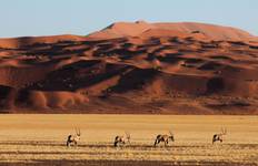 Sossusvlei & Swakopmund Camping - 4 Tage Reise