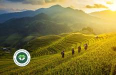 Circuit Circuit au Vietnam : Mélodie de la montagne et de la mer en 8 jours