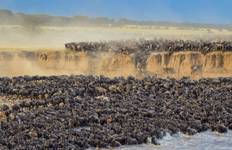 12 Days Gorillas & The Great Migration and Big Five Tour