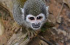 Discover Ecuador Tour 17 Days Tour