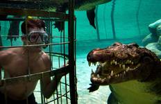 Circuit Aventure du Cap à la Route des Jardins : Circuit avec chauffeur - 5 jours