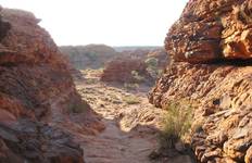 Circuit Safari dans l'arrière-pays (petit groupe)