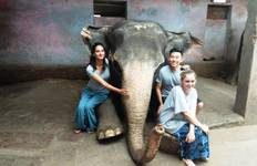 3-Day Jaipur Volunteer & Elephant Care Homestay Experience Tour