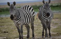 Circuit 13 jours Kenya et Tanzanie Budget Camping Safari 4x4 Jeep