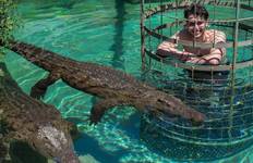 Circuit Attractions de l'Afrique du Sud en 5 jours : Visite de la cage aux crocodiles, dégustation de vin, visite de Robben Island, péninsule du Cap, Aquila Safari Tour