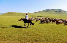 Circuit Visite guidée en Mongolie