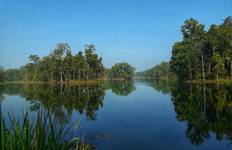 Chitwan Jungle Safari