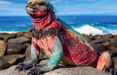 Galapagos Affordable 8 Days Tour Tour