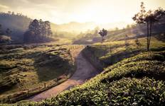 Amazing Kerala Trip Tour