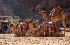 Circuit Découverte de la Jordanie depuis Tel Aviv et Jérusalem - 4 jours