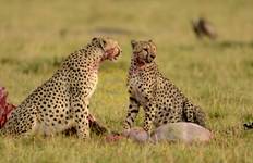 Circuit Safari culturel en Tanzanie