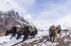 Circuit Trek dans la vallée du Langtang