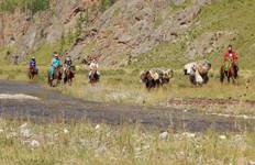 Circuit Circuit à cheval dans le désert de Gobi