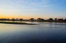 Circuit Camping Safari Selous Sud Tanzanie