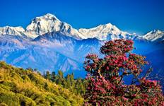 Wonderful Nepal Tour Tour