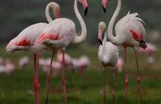 Taj Mahal Sunrise and Sunset Tour with Bird Sanctuary Tour