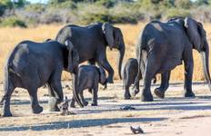 Circuit Exploration de l'Afrique du Sud, du Lesotho et de l'Eswatini - camping - 20 jours