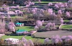 Circuit Vallée de Hunza - Circuit des cerisiers en fleurs - Pakistan - 10 jours