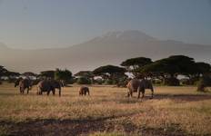 Circuit Explorez la Tanzanie Big 5 - 10 jours de safari