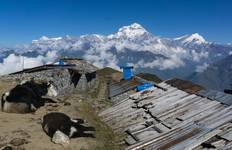 Khopra Danda Trek