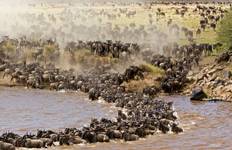 Circuit 3 Jours, 2 Nuits Masai Mara Safari en groupe au départ de Nairobi avec prise en charge gratuite à l'aéroport.