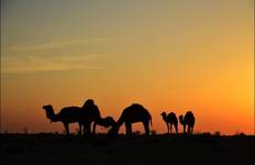 Aral Sea & Uzbekistan Legends - 12 Days Tour