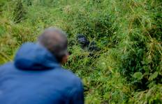 3 Days Uganda Gorilla Trek from Kigali Tour