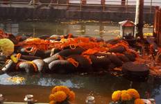 Shivapuri Peak Hike and Sleeping Buddha Sightseeing - a Day Tour