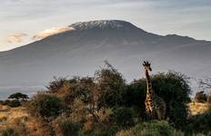 Circuit Route de Machame - 7 jours